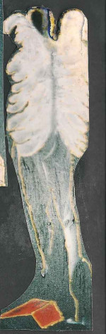 jacky cohen tanugi "betsalel""